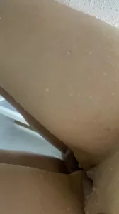 准儿媳在线观看免费版